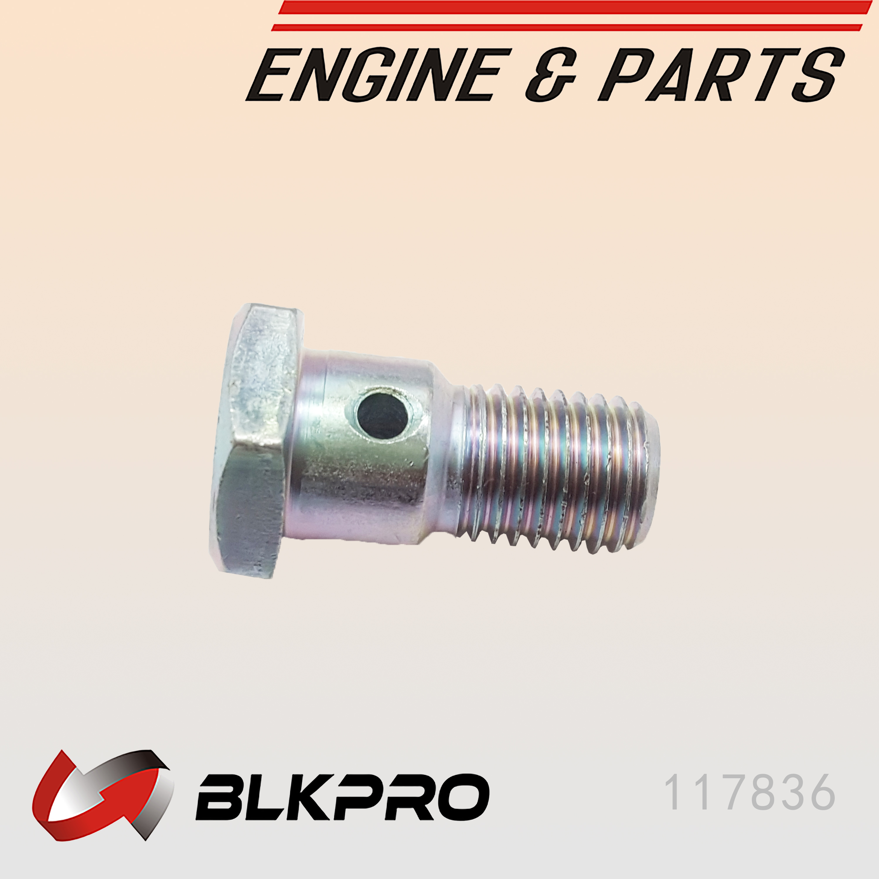 Non Return Fuel CHECK VALVE Banjo Bolt For Dodge 5.9 CUMMINS 24V 0306