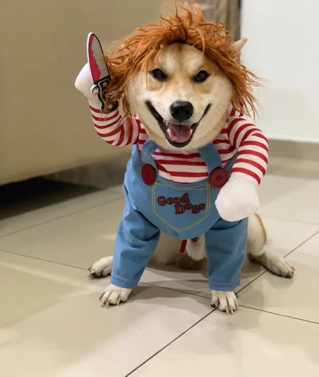 Chucky Dog holding knife Chuky Doll Christmas Costume Multiple Sizes S ...