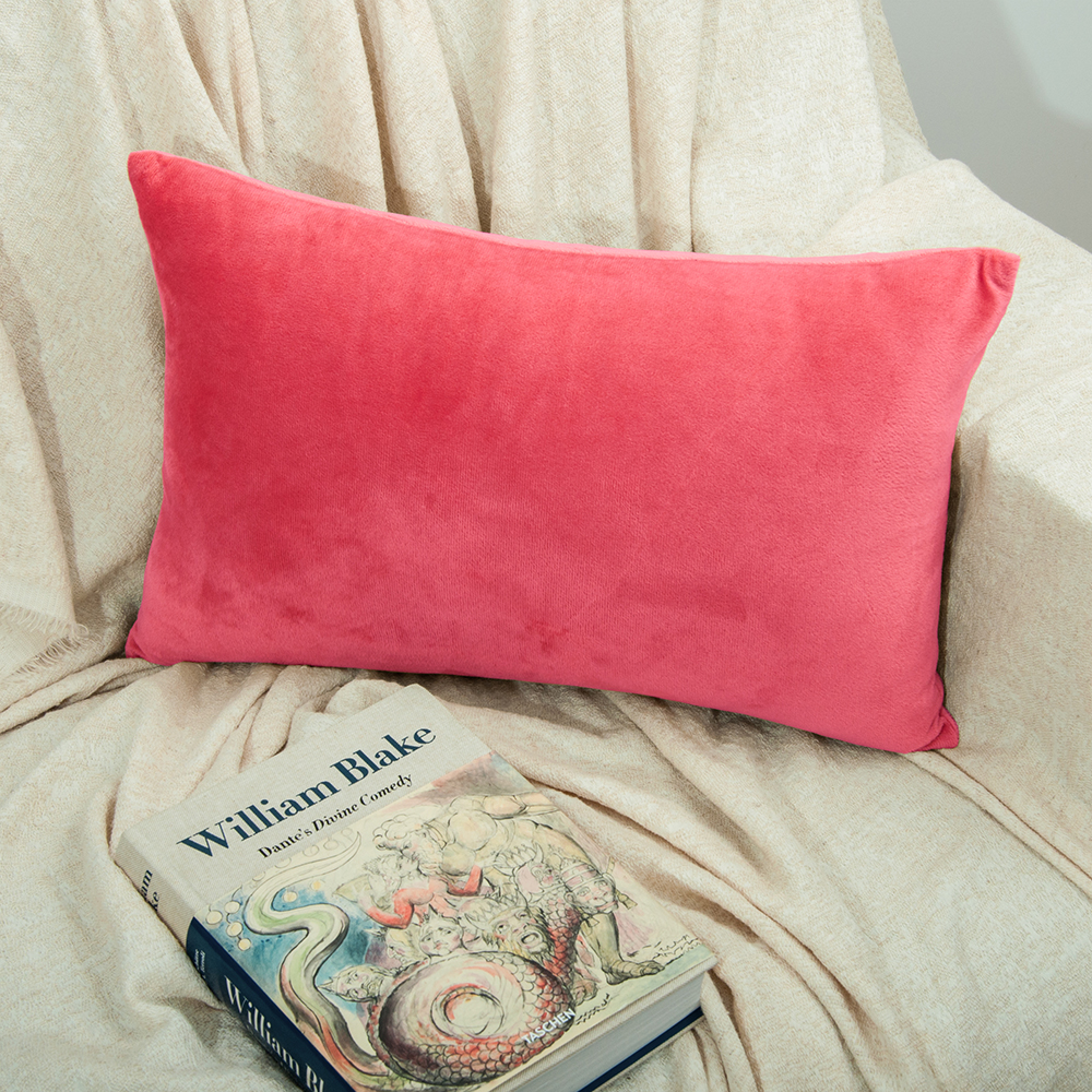 Zippered Velvet Queen King Luxury Pillowcases Ultra Soft Cozy Pillow Case 2Pcs - Picture 42 of 72