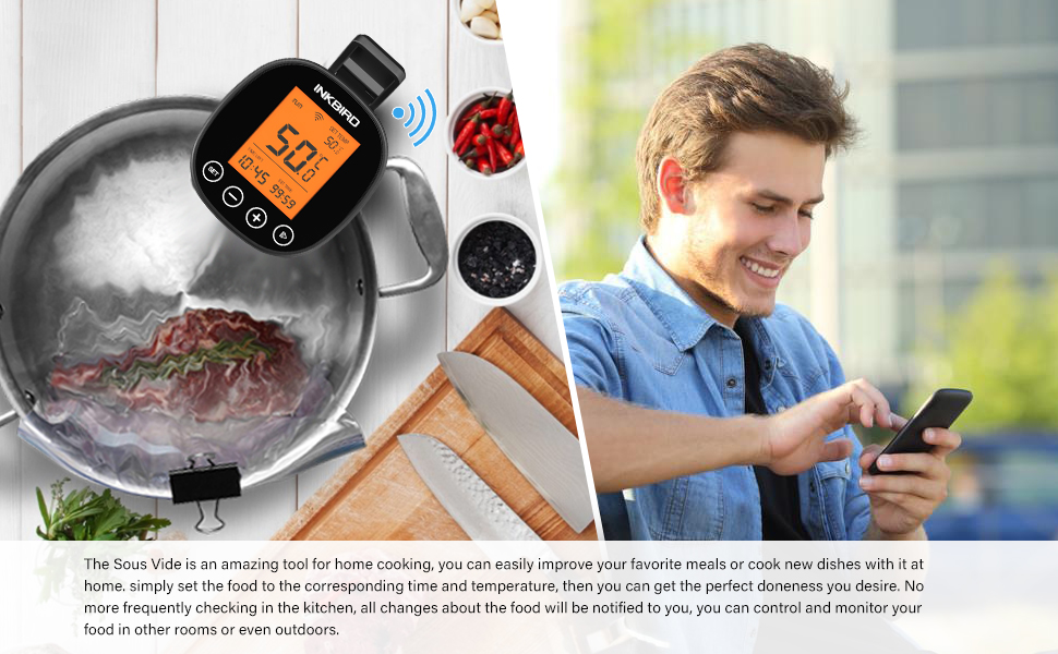 WiFi Sous Vide Slow Cookers Thermal Immersion Circulator Cooking Machine 120V