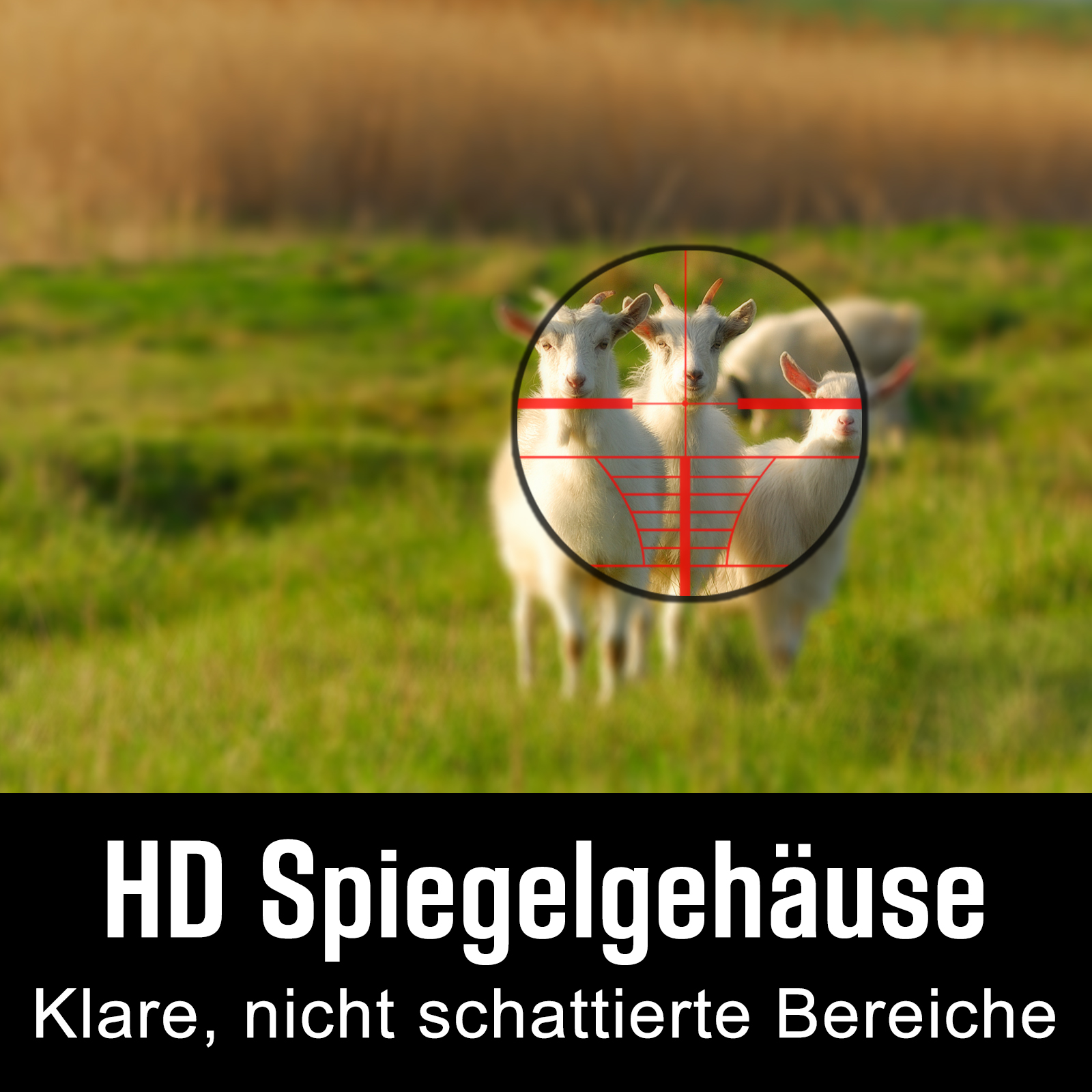 Jäger Zielfernrohr für Luftgewehr Armbrust Rifle Scope 11mm Montagen 3~9x40EG