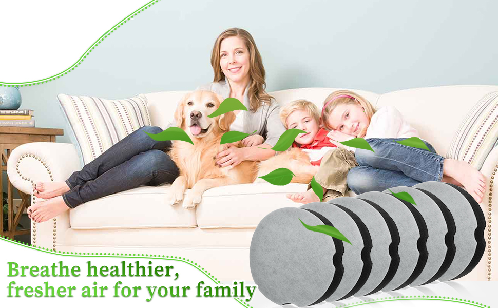 bissell compact powerforce filter