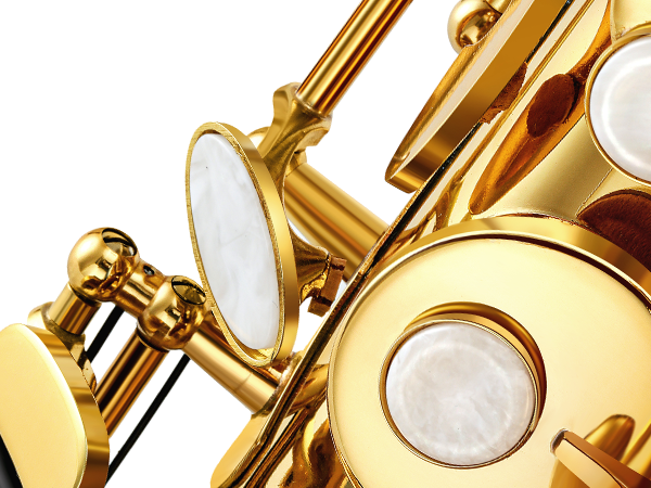 🎷Eastar Alto Saxophone E Flat F Key Gold Lacquered Student