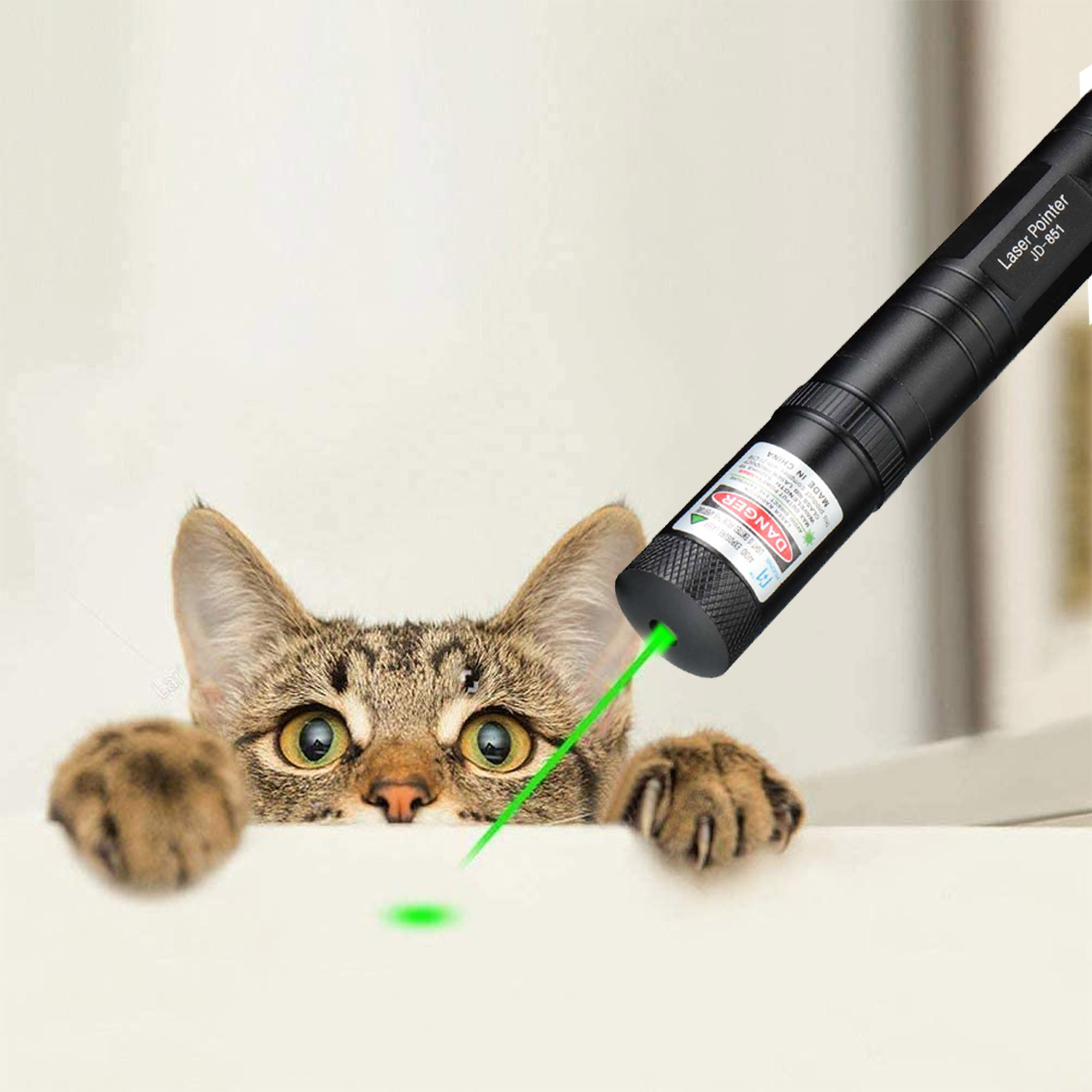 2X 990Mile Green Laser Pointer Pen Light Astronomy Strong Laser Beam Light 