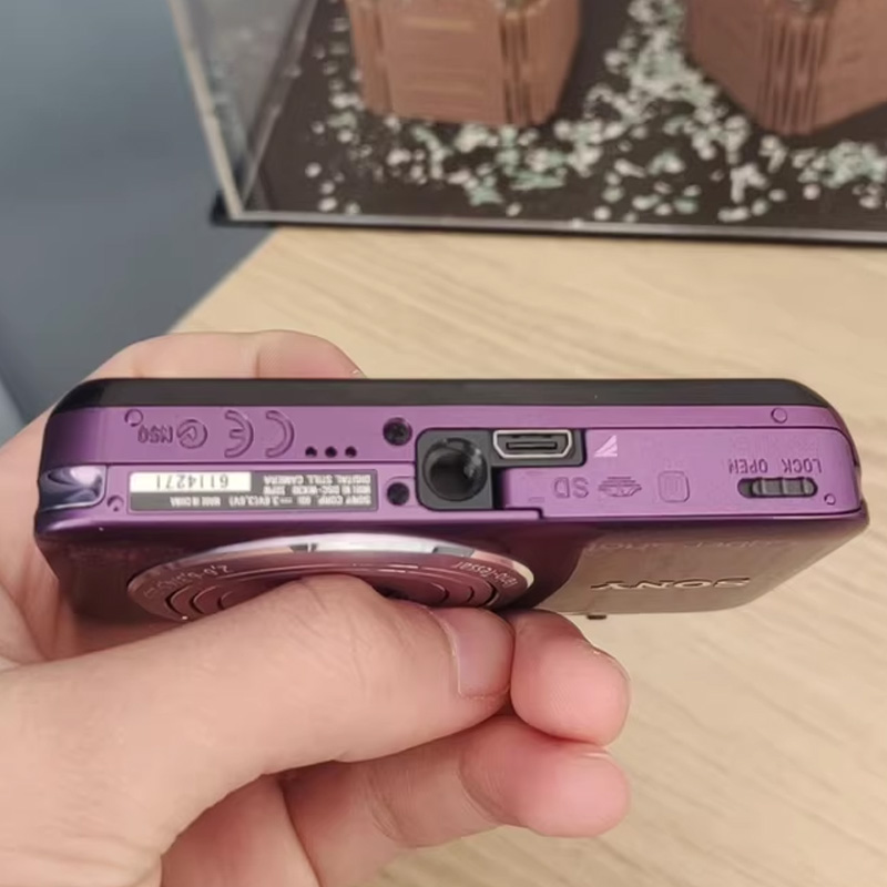 SONY Cyber shot DSC-WX30 Digital Camera 16.2MP 5.0x Optical