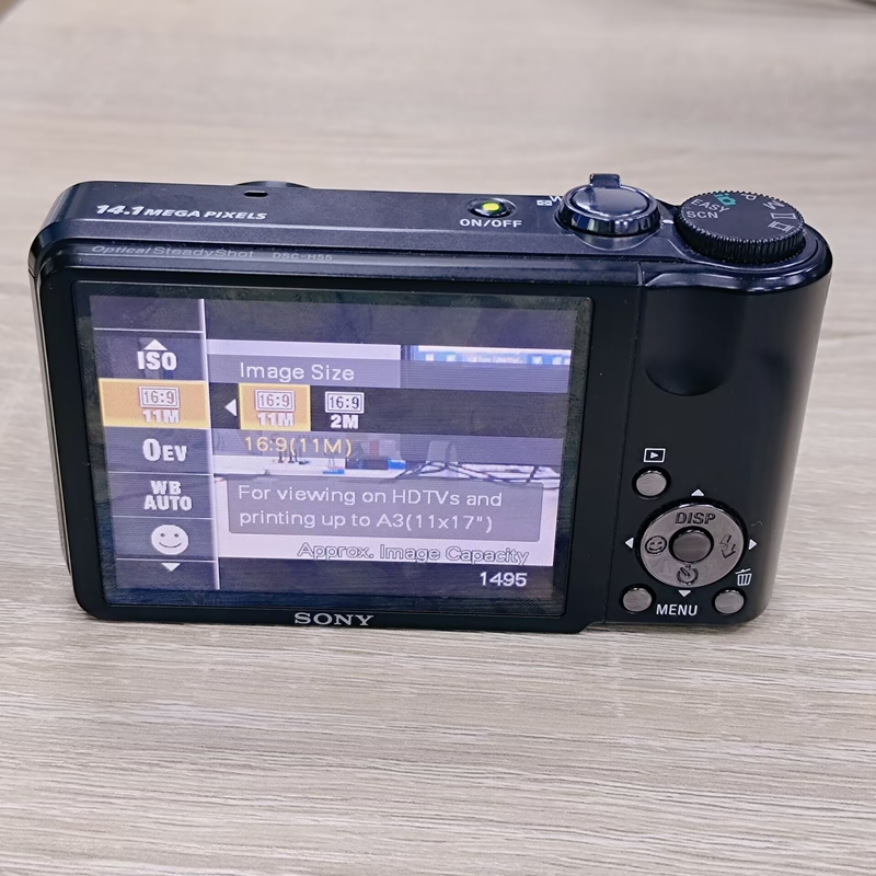 Sony CyberShot DSC-H55 14.1MP Digital Camera 10x Zoom (SD