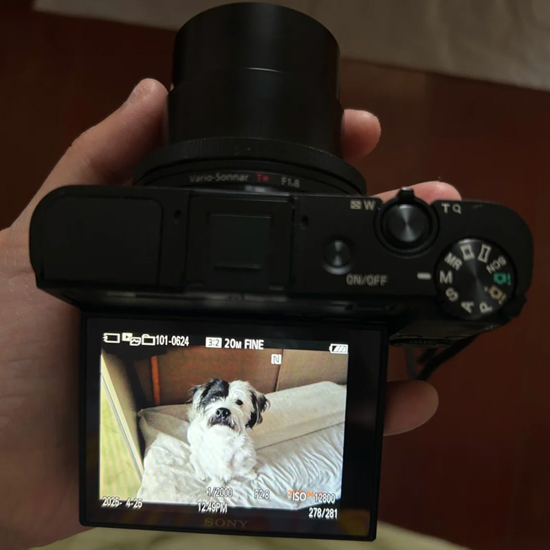 Sony Cyber-Shot RX100 II 20.2 Mp DSC-RX100M2 3.6x Zoom Digital