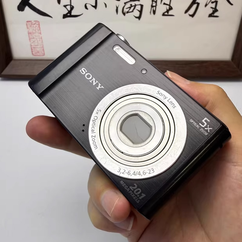 Sony Cyber-shot DSC-W800 20.1 MP 5x Optical Zoom Digital Camera