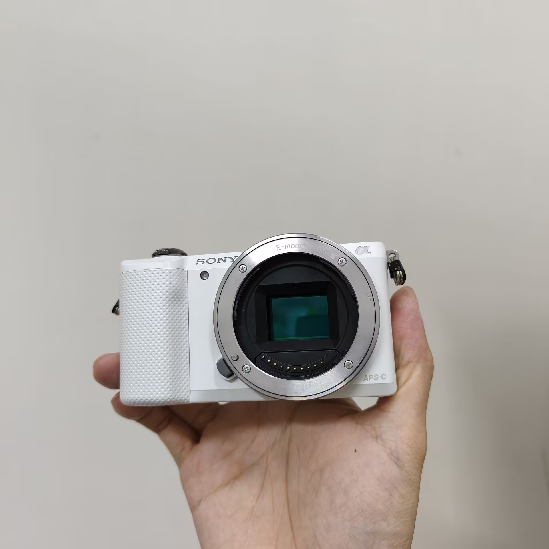 SONY α5000（ICLE-5000L） Sony Alpha a5000 (ILCE 5000): Digital Photography Review