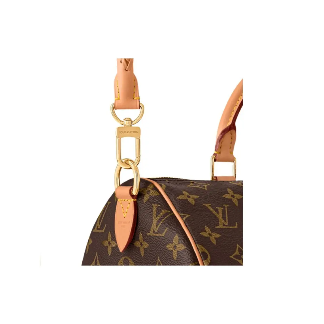 LOUIS VUITTON SPEEDY SOFT 30 Lucky Canvas Handheld Bag Women's