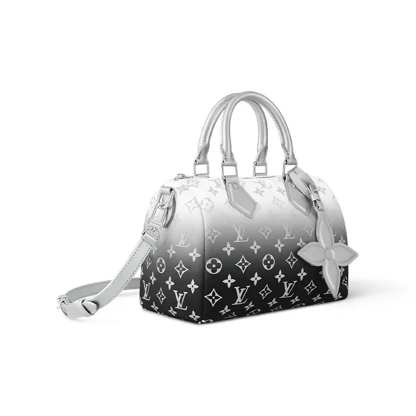 LOUIS VUITTON SKI Speedy 25 Shoulder Bag Handbag Women's 9.8x5.9x7