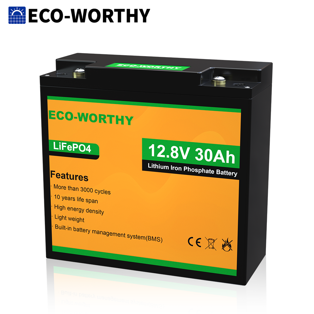 ECO-WORTHY 5A & 10A 12V Smart Battery Charger with LCD Display for Lit —  Solar Altruism