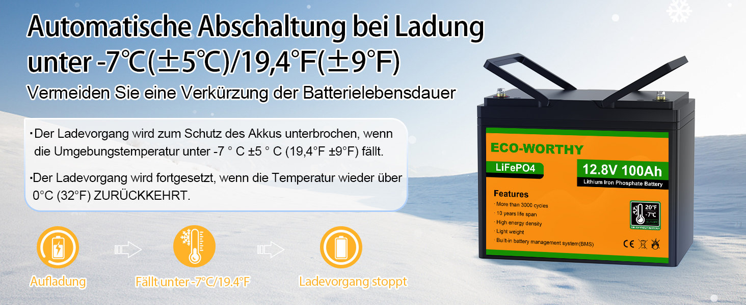 ECO-WORTHY Lithium batterie 12V 100Ah LiFePO4 Akku mit über 3000+  Tiefzyklus und BMS Schutz