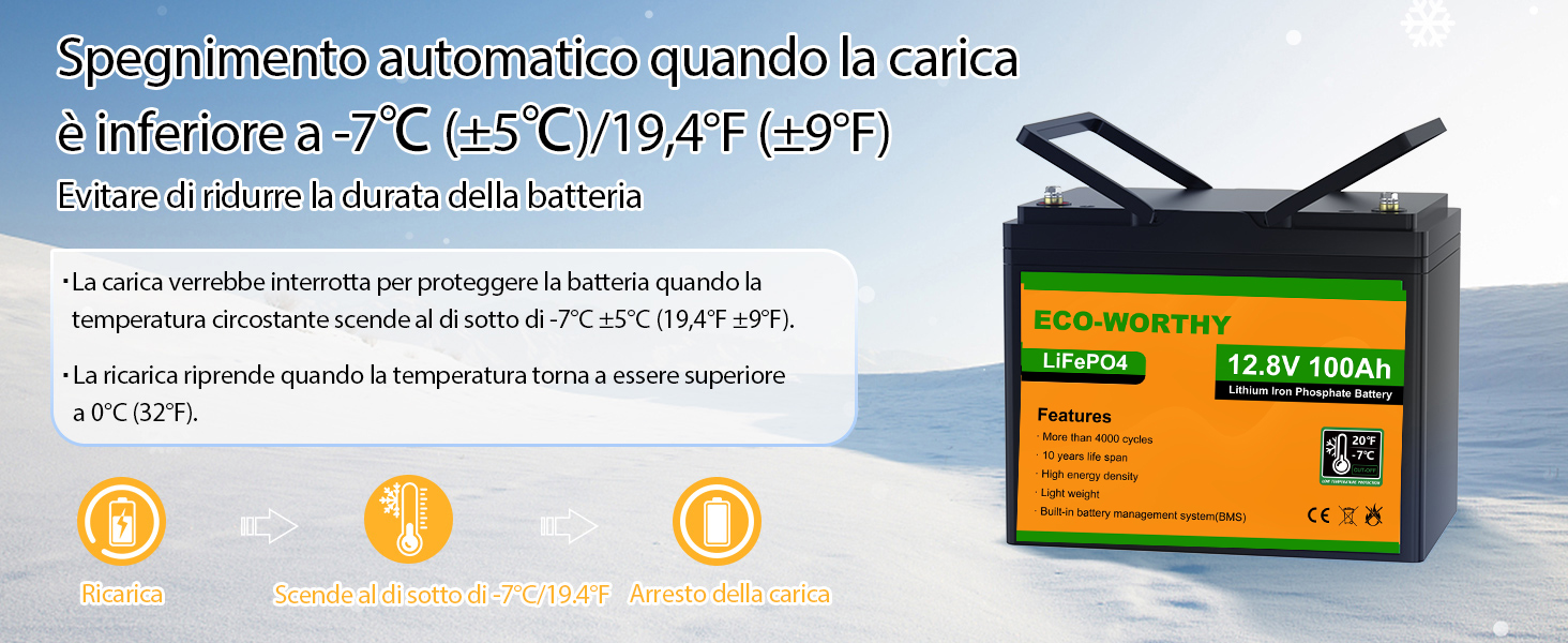 Inverter Solare 600W ECO-WORTHY - Onda Sinusoidale Pura Per Auto, Camper E Camping