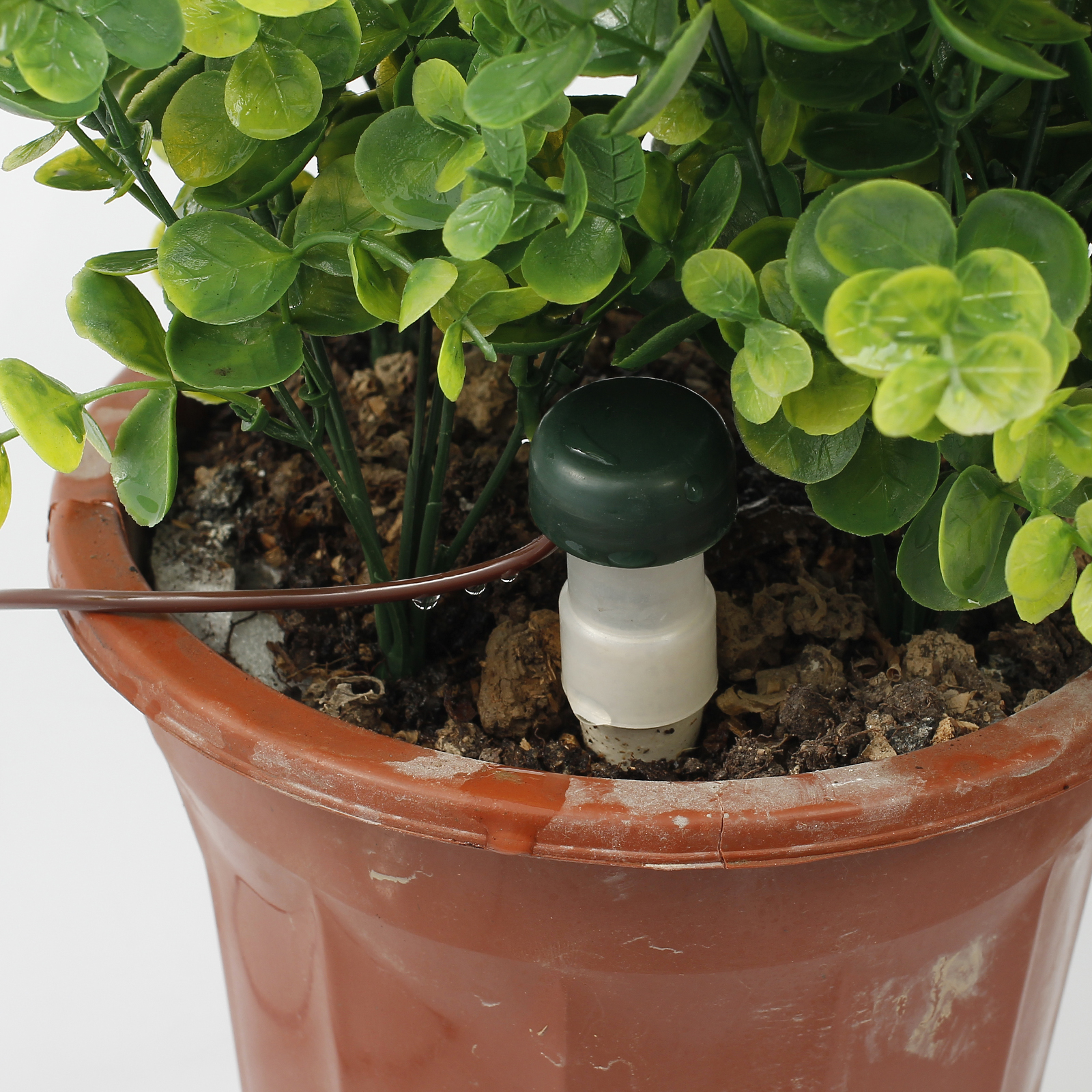 8X Automatic Watering System Houseplant Spikes Garden Plant Self