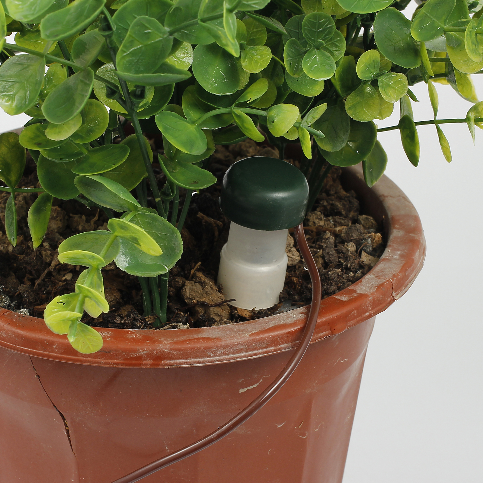 8x Garden Automatic Plant Watering Spikes Ceramic System Probes Flower