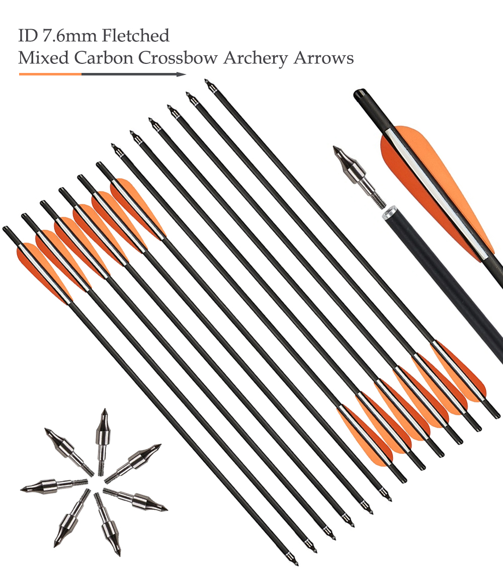 20 Inch Carbon Arrows D&Q 20-Inch Crossbow Bolts With Broadheads ...