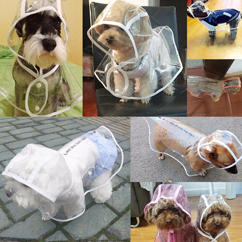 clear dog raincoat