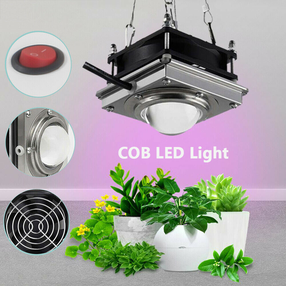 2 300w Watt Cob Led Grow Light Full Spectrum Lamp For Plant Hydroponics Flower