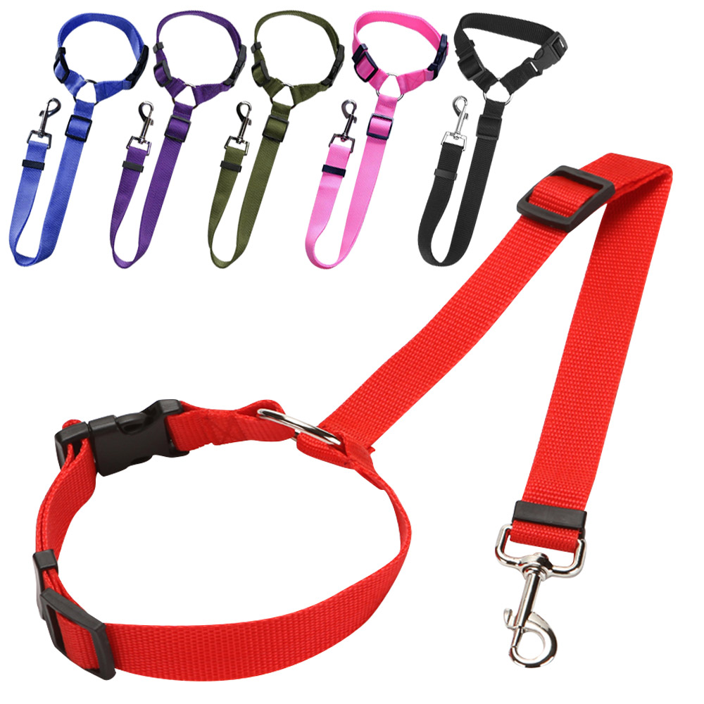 dog safe rope