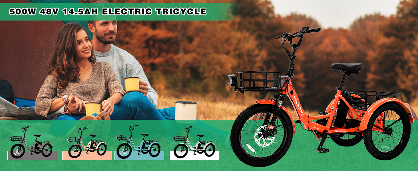 20 Inch Fat Tire All Terrain Electric Tricycles For Adults 48V 500W Three-Wheel Electric Bicycle With Passenger Seat