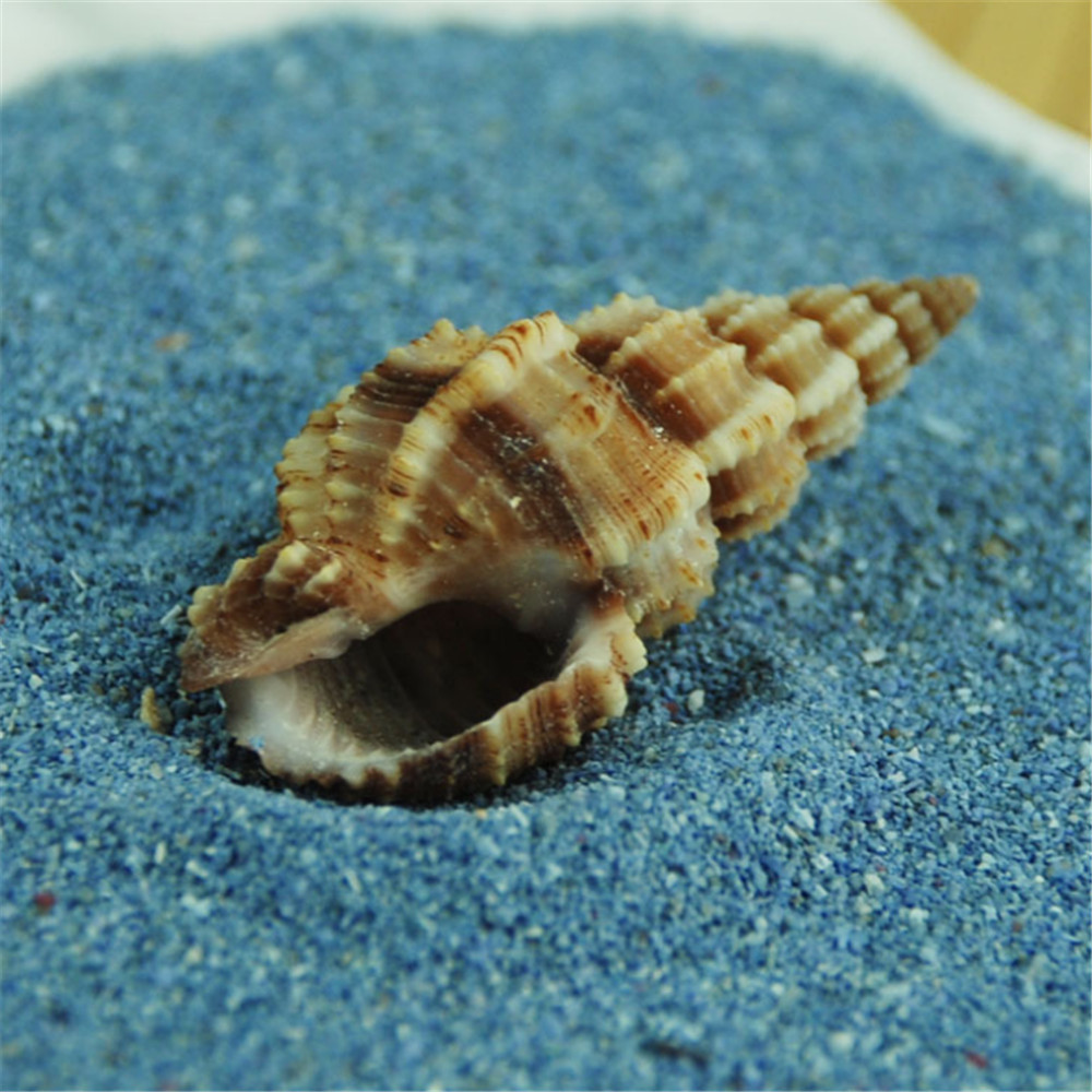 Get Ornamentos nauticas For Android Free