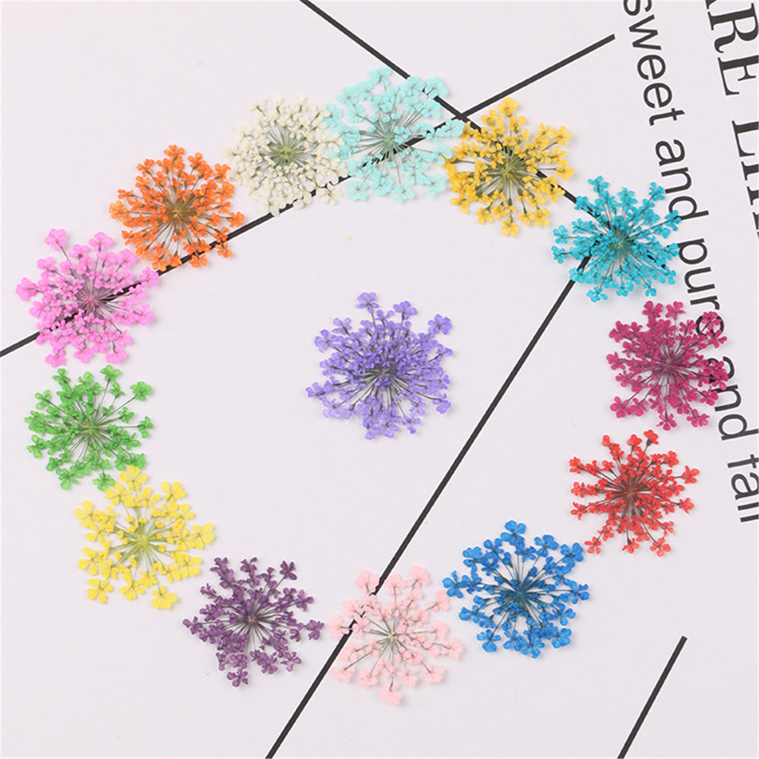 Natural Dried Spiraea Flower Nail Art Decor Design DIY Tip Manicure 20pcs//lot