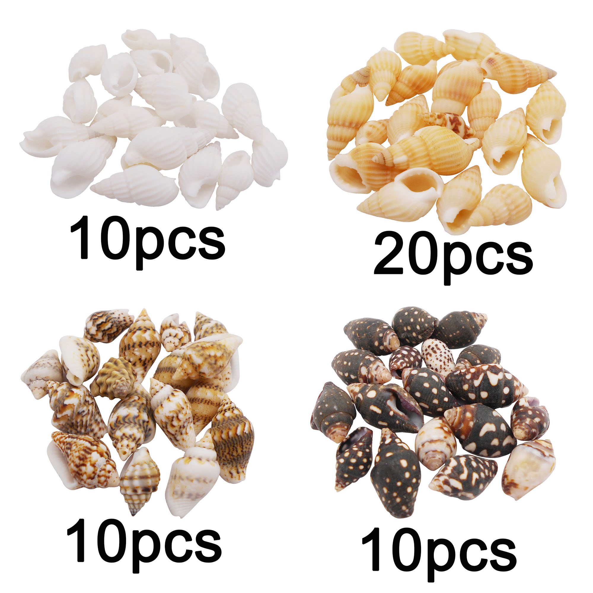 100 Mix Tiny Conch Shells Natural Seashells For Crafts DIY Art Decor 1 -  2.5 cm