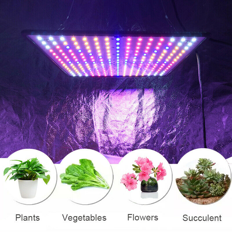 Details about   5000W LED Grow Light Full Spectrum UV&IR Indoor Hydroponic Plant Flower Bloom YE 