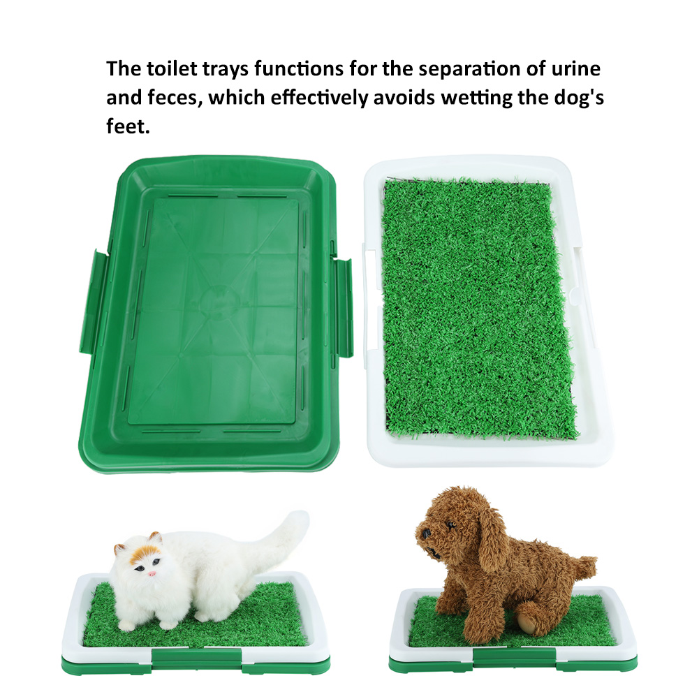 Hundetoilette Welpentoilette Puppy Training Hundeklo Haustier