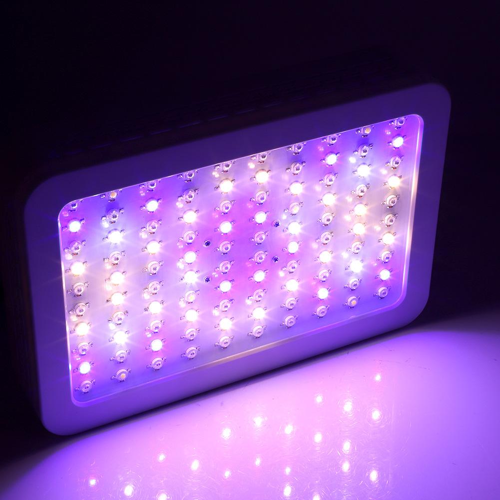 1000w Cob 100led Grow Light Full Spectrum Uv Hydro Plants Bloom Details About 1000w Cob 100led Grow Light Full Spectrum Uv Hydro Plants Bloom Greenhouse Lamp