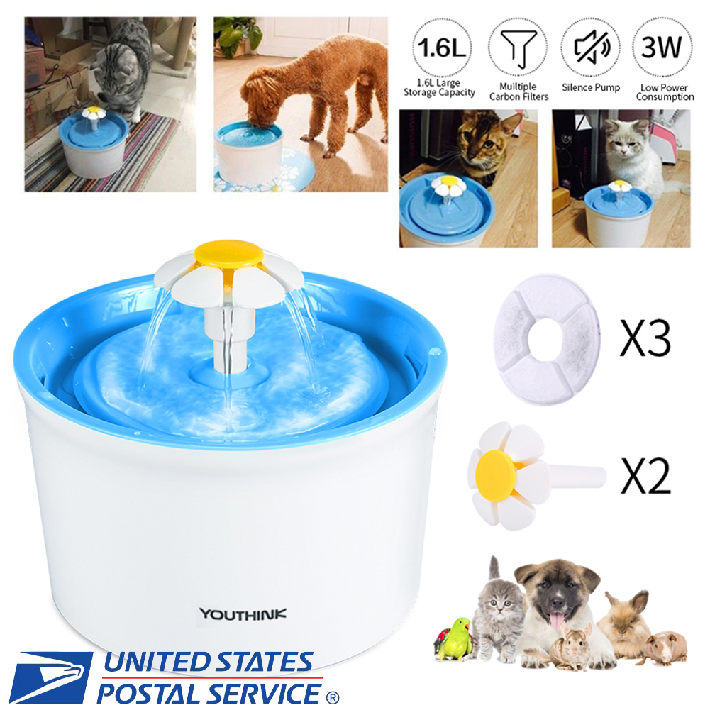 big dog water fountain filters