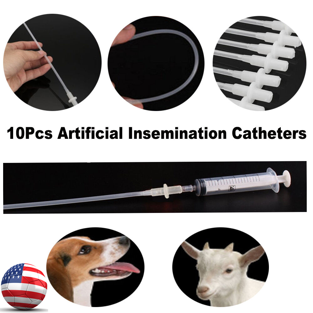 Goat Canine Pet Artificial Insemination Rods Breeding Feed Whelp Tubes 10Pcs Disposable Insemination Catheters for Dogs and Sheep