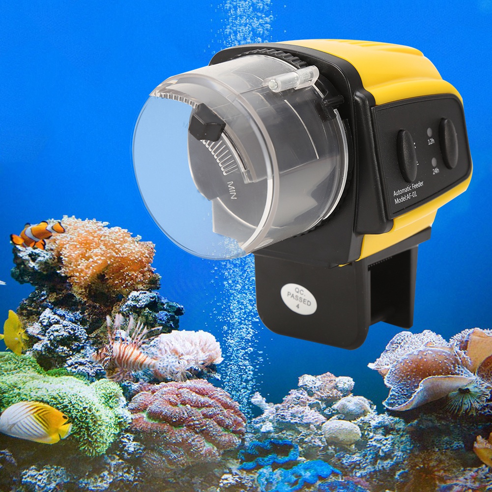 automatic feeder for fish