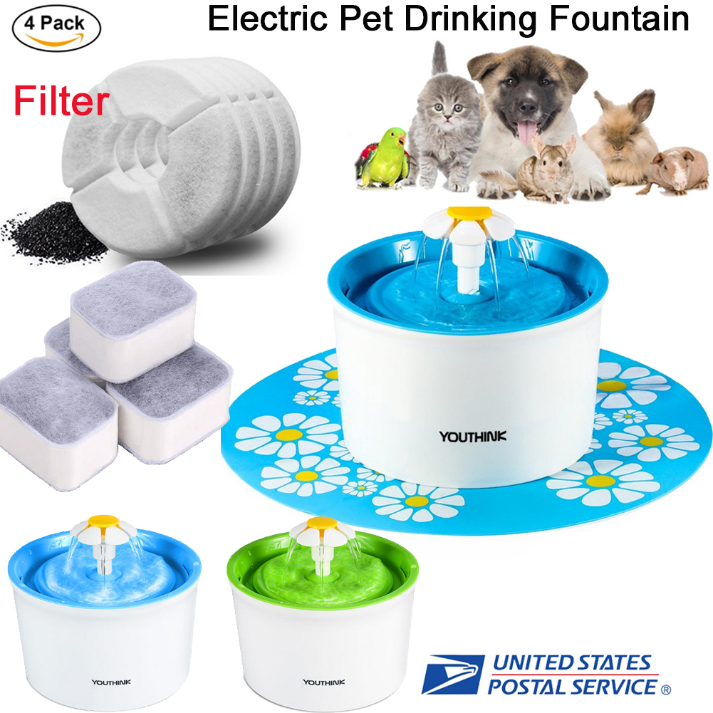 electric dog bowl