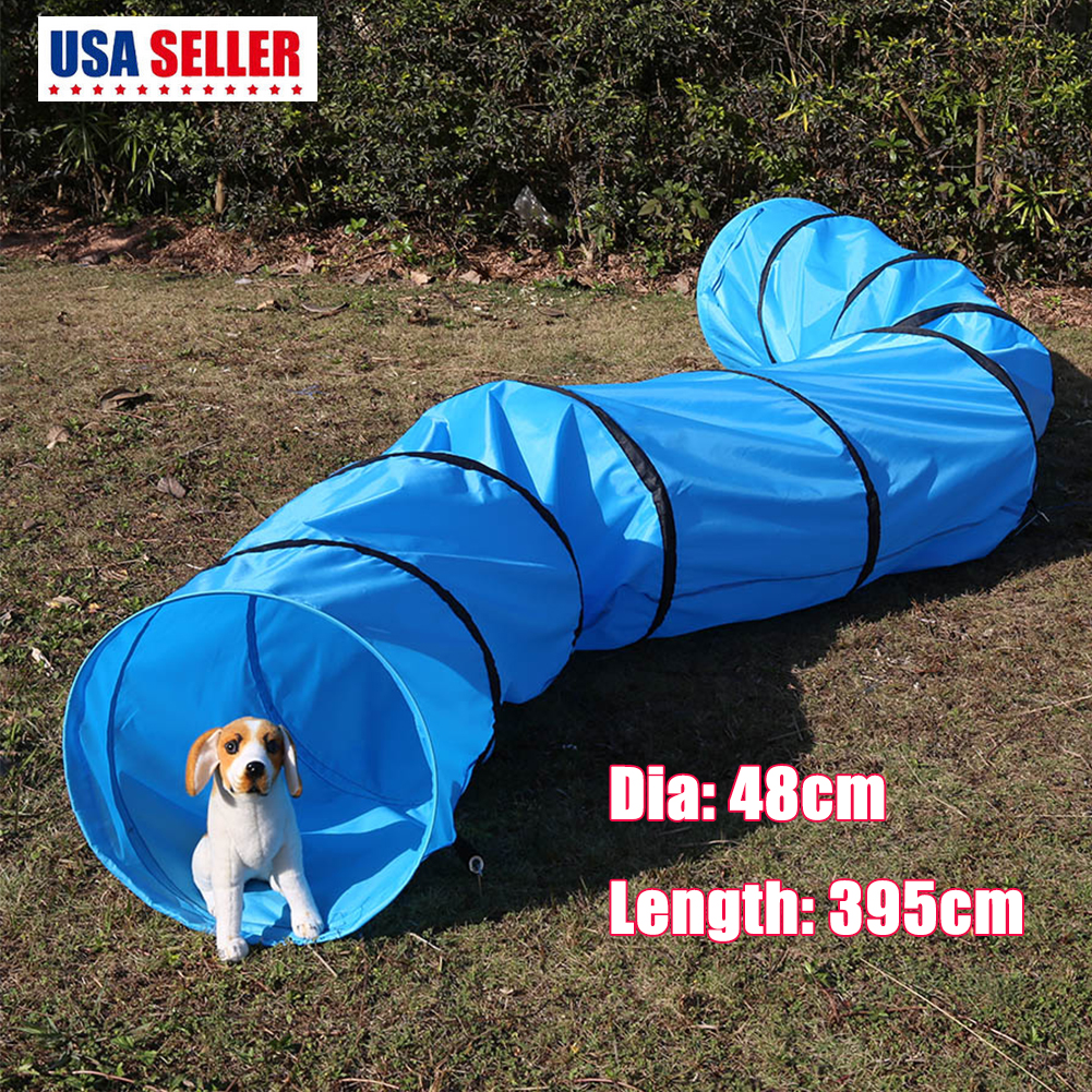 dog outdoor equipment