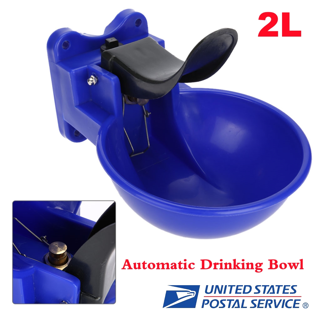 2l Automatic Drinking Water Outlet Bowl Trough Cattle Goat Sheep