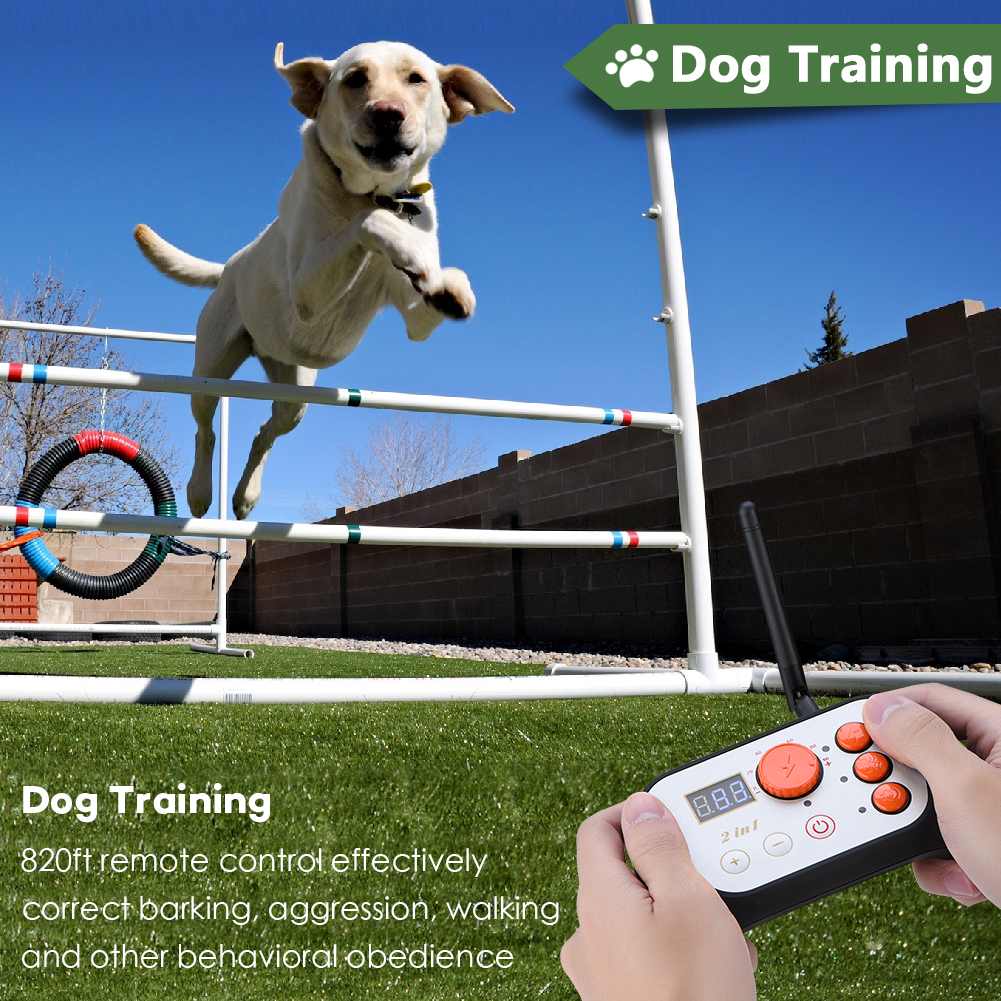 IP67 PetSafe Wireless Electric Dog Fence System with Remote Dog