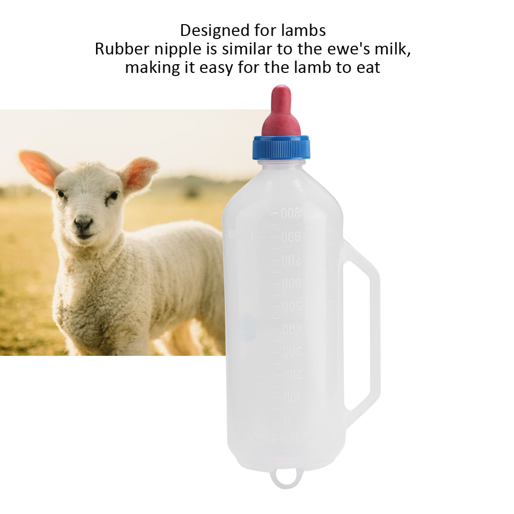 Lamb Milk Bottle 1.5L Milk Feeder Nursing Rubber Nipple Calf Baby Piglet Lamb US