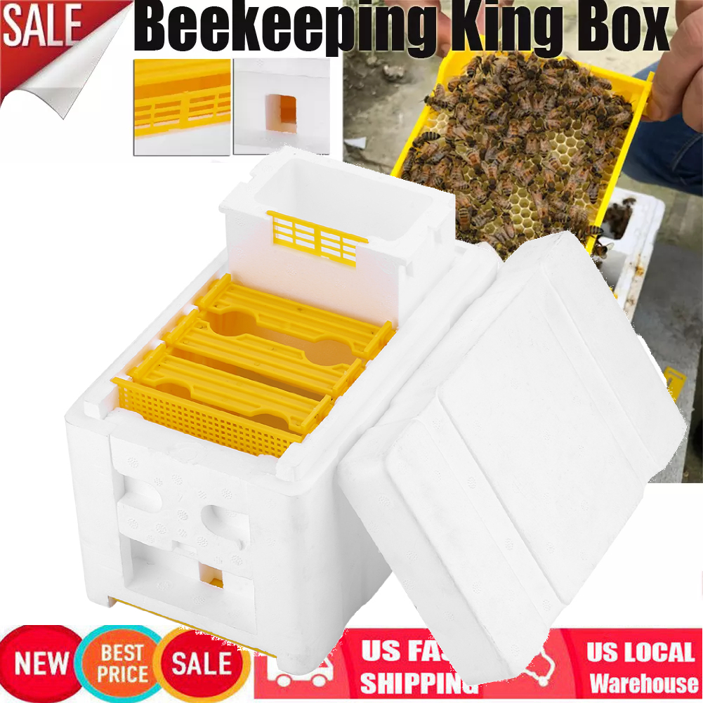 Harvest Bee Hive Beekeeping King Box Foam Frames Pollination Box Beekeeping Kits
