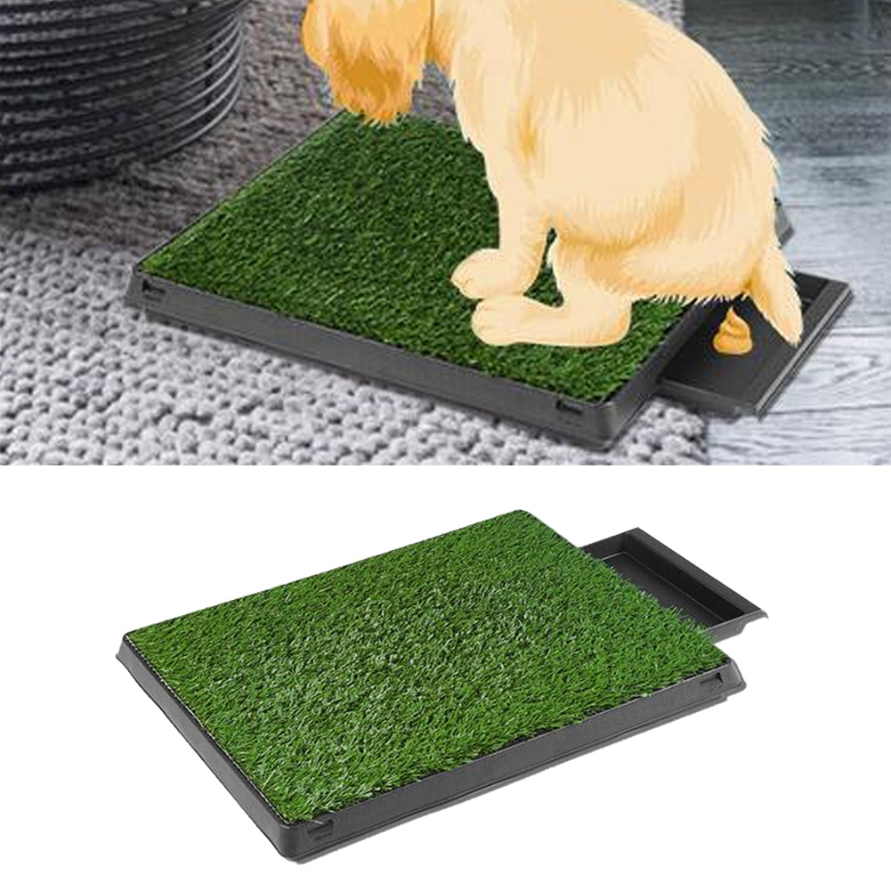 Hundeklo Hunde Toilette Rasen Welpentoilette Trainingsunterlage 60 X 48cm Ba 01 Ebay