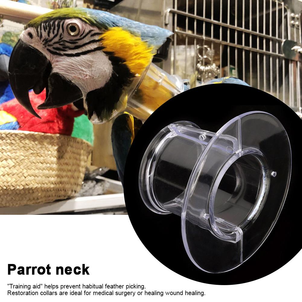 bird elizabethan collar