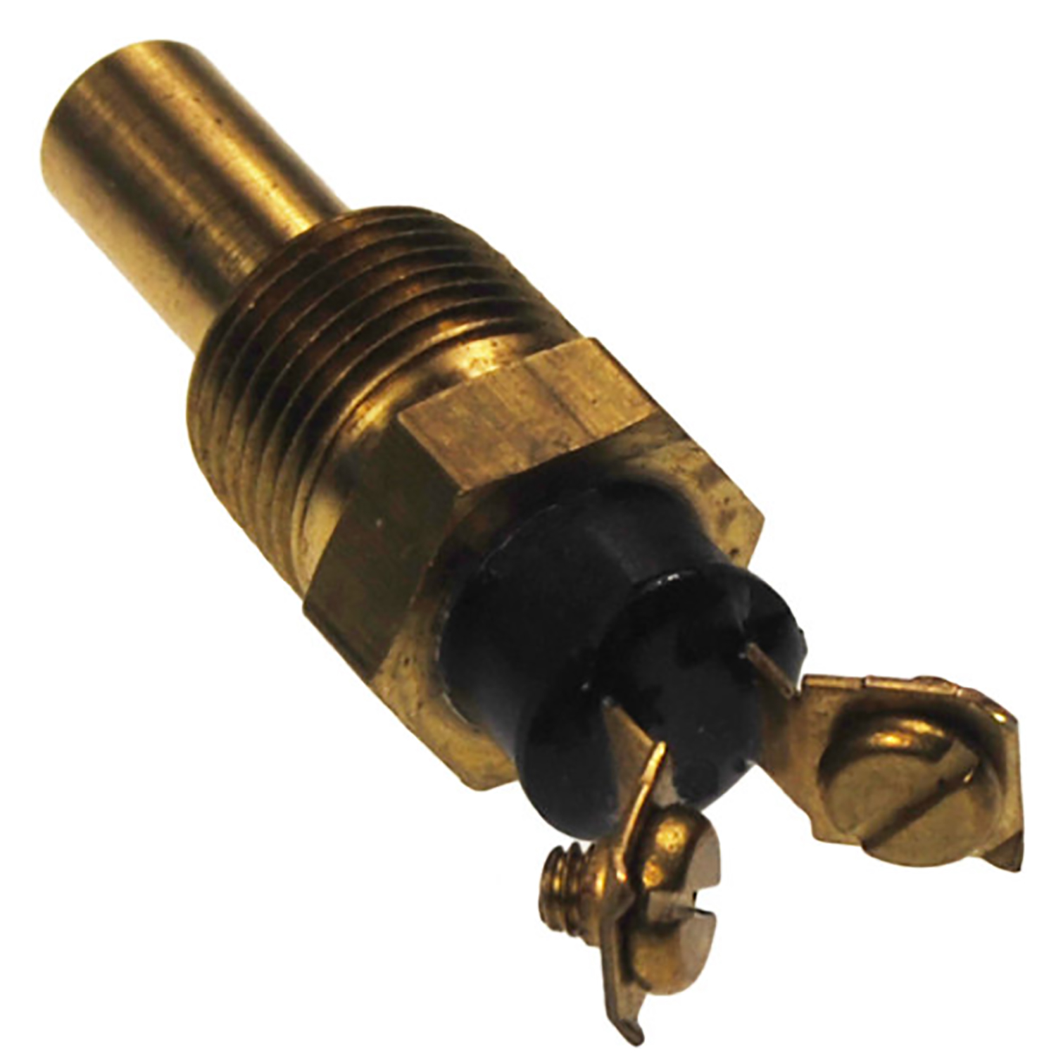 7ae40ef87bb9b444.jpg