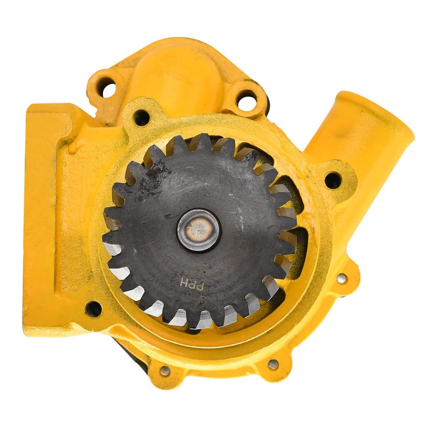 Hammo 台風山葵5.6 Hammo 台風山葵5.6