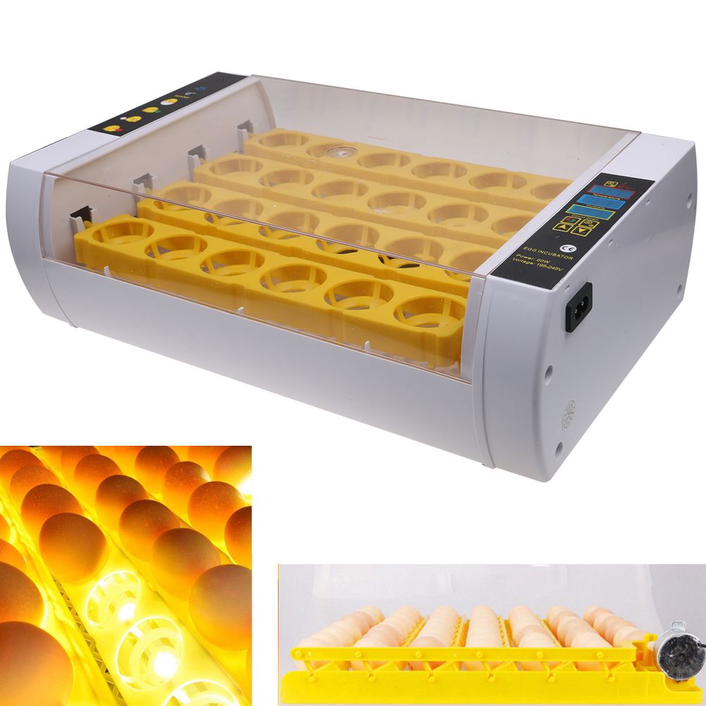 auto turn egg incubator
