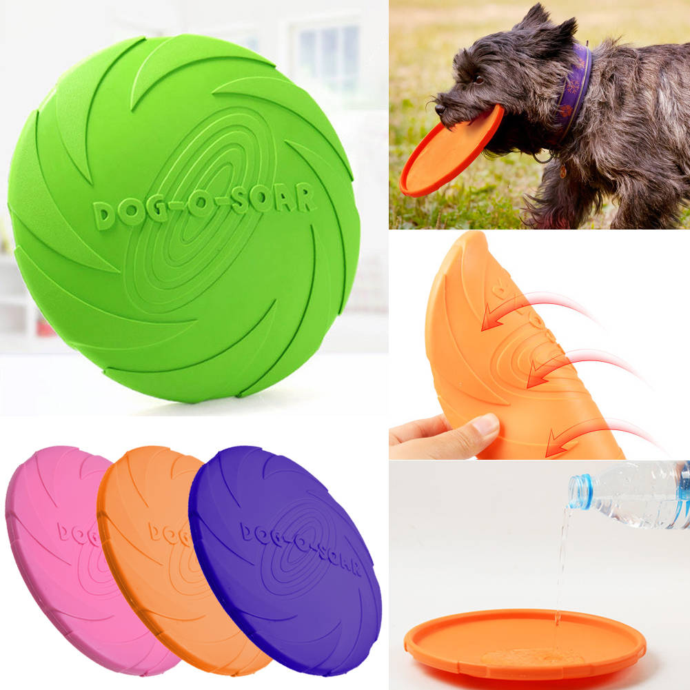dog o soar frisbee