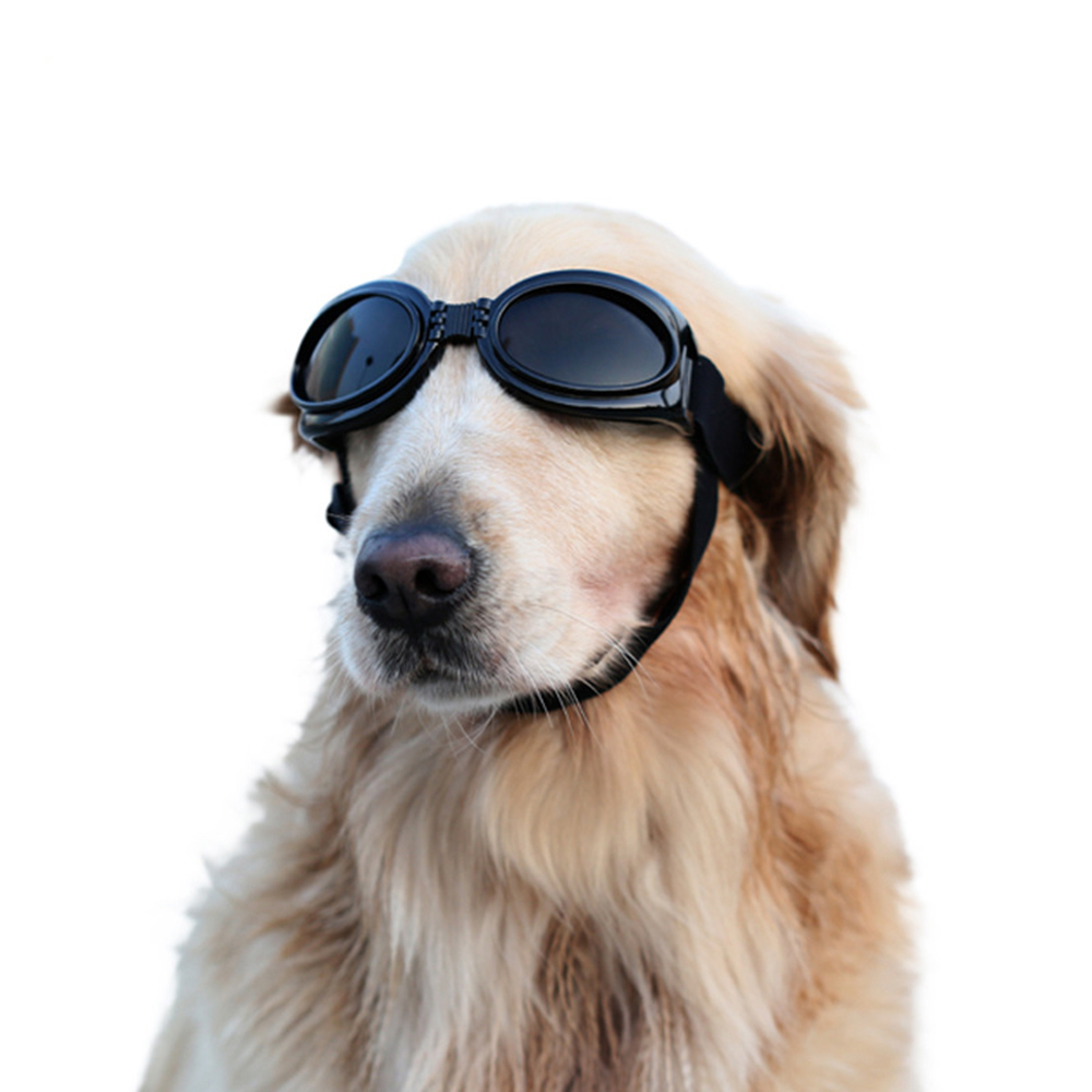 small dog goggles