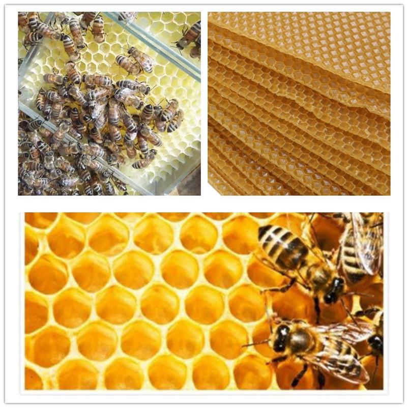 10pcs Yellow Honeycomb Foundation Bee Hive Wax Frames Beekeeping Equipment Sheet