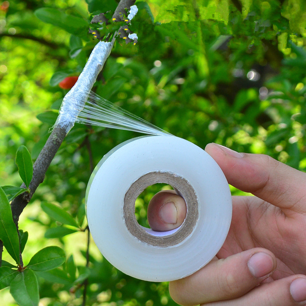 Tape Plant Formula at Dorothy Stevens blog