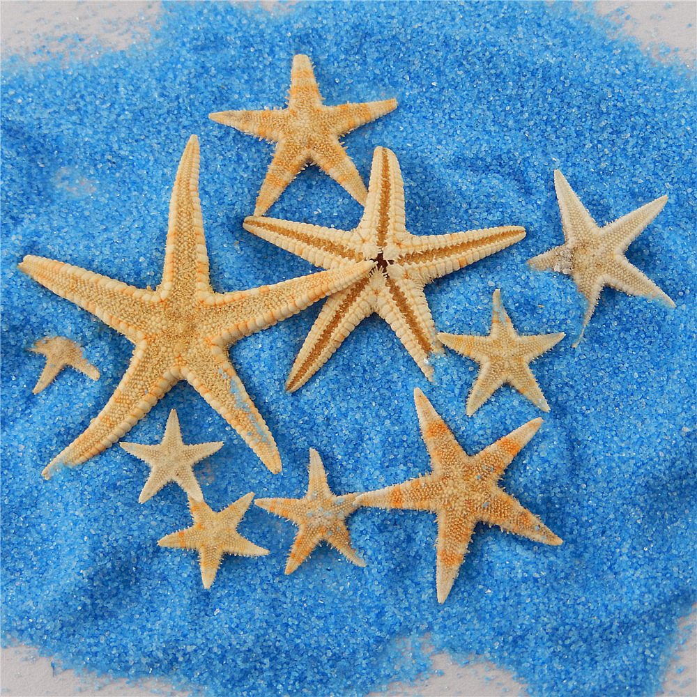 20 pcs Flat Dried Starfish DIY Crafts Mini Sea Shells Ornaments Nautical  Decor